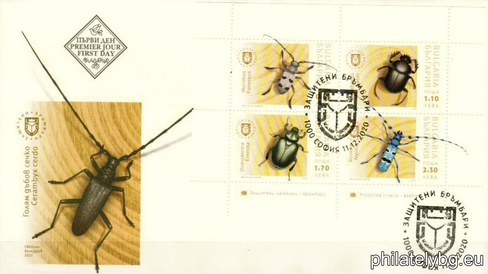 "Fauna - protected insects (beetles)" - a series of four postage stamps, printed in a block sheet and a special postage stamp.