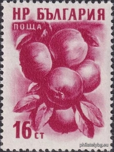 БК 1016