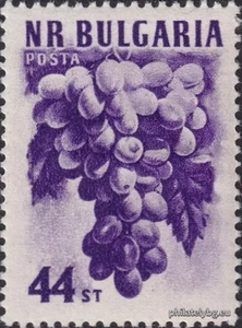 БК 1017