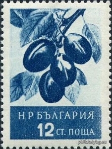 БК 1023