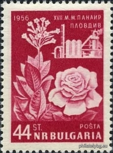 БК 1033