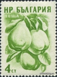 БК 1054