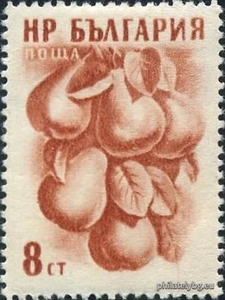БК 1055