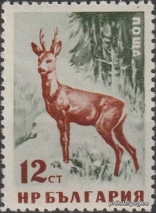 БК 1091