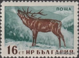 БК 1092