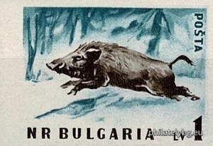 БК 1101