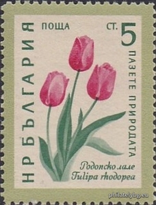 БК 1226