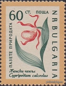 БК 1229