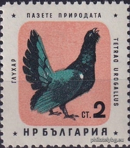 БК 1270