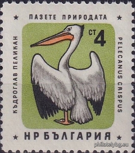 БК 1271