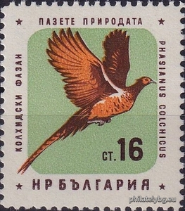 БК 1272