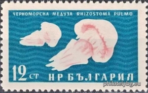 БК 1293