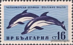 БК 1294