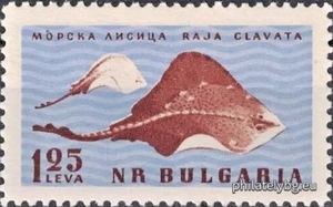 БК 1297