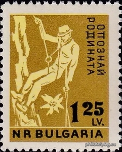 БК 1306