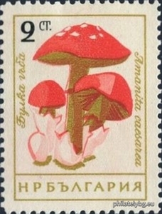 БК 1315