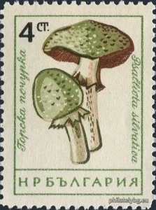 БК 1316