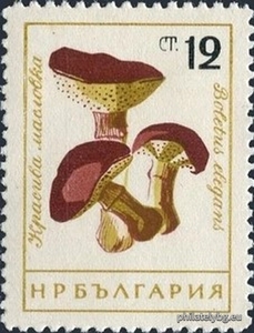 БК 1317