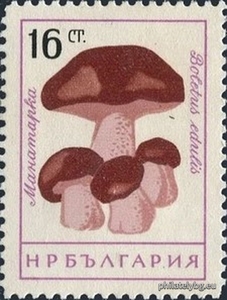 БК 1318