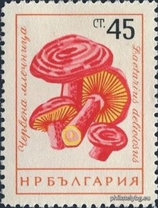 БК 1319