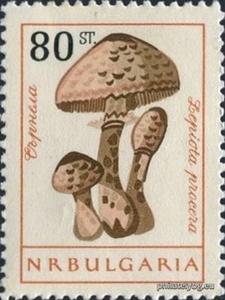 БК 1320