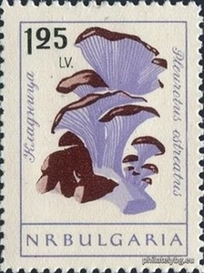 БК 1321