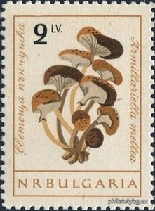 БК 1322