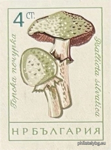 БК 1324