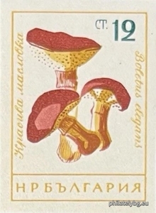 БК 1325
