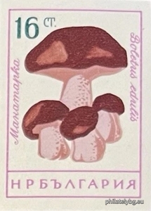 БК 1326