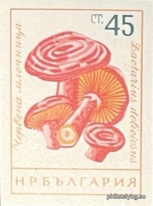 БК 1327