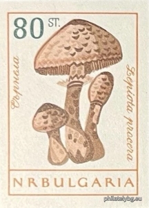 БК 1328