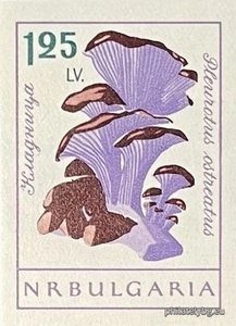 БК 1329