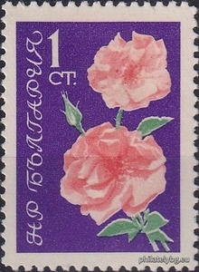 БК 1363