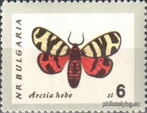 БК 1401