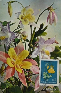 БК 1462