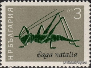 БК 1505