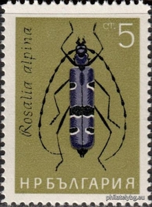 БК 1506