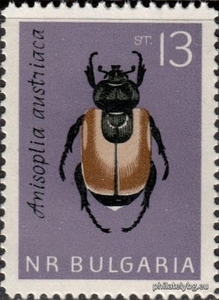 БК 1507