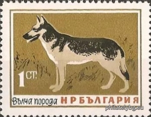 БК 1519