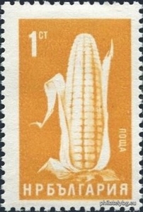 БК 1578
