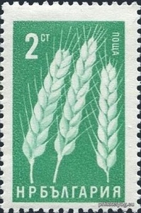 БК 1579