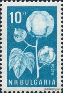 БК 1583