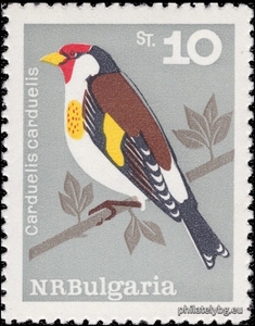 БК 1592