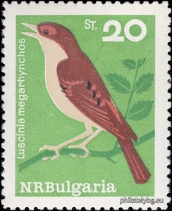 БК 1594