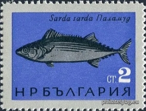 БК 1601