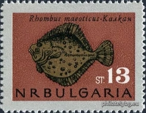 БК 1605