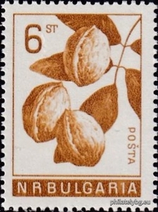 БК 1613