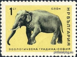 БК 1681