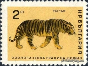БК 1682